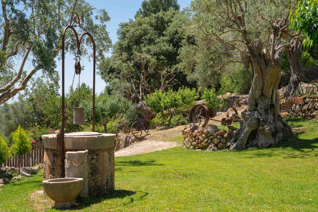 Rural S'olivaret & Hotel Alaró